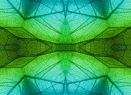 Macro dried leaves seamless abstract background textureの写真素材