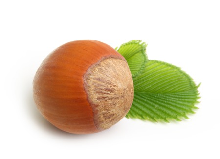Forest nuts hazelnuts isolated on white background.の写真素材