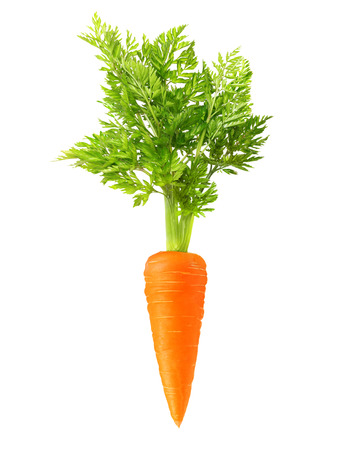 Carrot isolated on white backgroundの写真素材