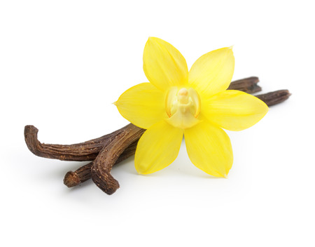 Vanilla pods and orchid flower isolated on white backgroundの写真素材