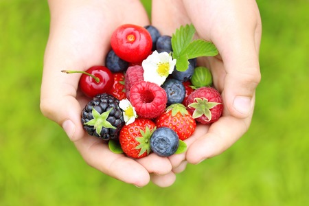 Summer berry fruits in handsgreen grass background.の写真素材