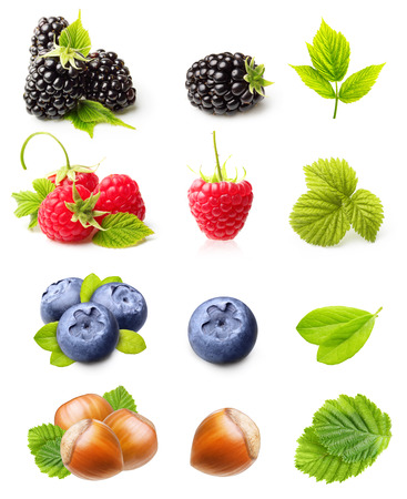 Summer berry fruits. Raspberry, Blackberry,Blueberry and Hazelnuts Isolated on White Backgroundの写真素材