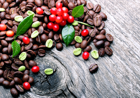 Green and black coffee beans on wooden background.の写真素材
