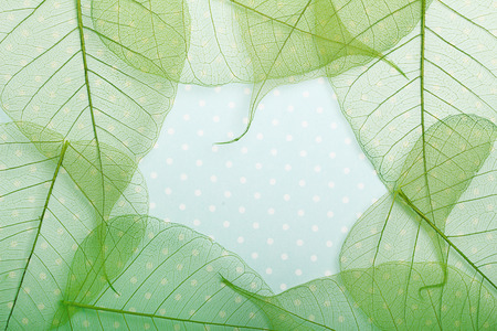 Macro leaves background texture over spotted background.