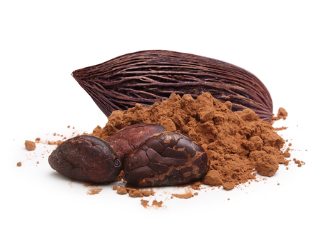 Cacao beans and powder isolated on white backgroundの写真素材