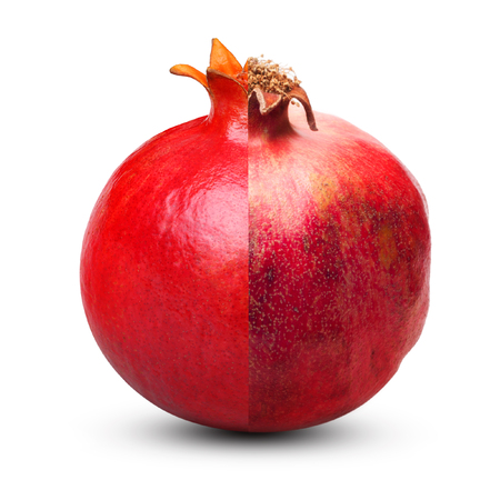 Overripe and fresh pomegranate isolated on white background. Aging concept.の写真素材