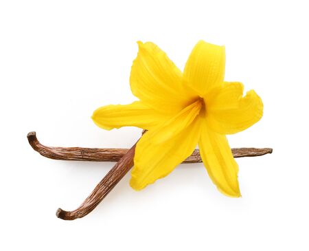 Vanilla pods and orchid flowers isolatedの写真素材