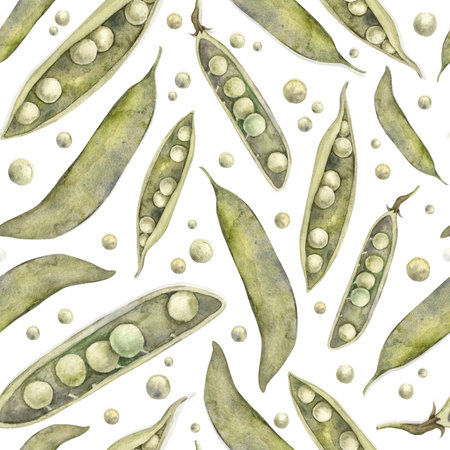 Watercolor pattern with green peas. Hand-drawn on a white background. Hand-drawn botanical...