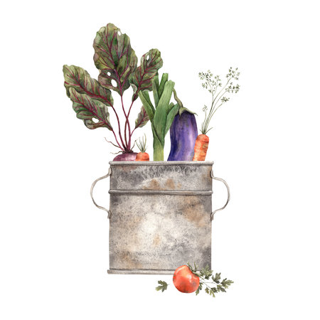 Watercolor composition with a rusty barrel and various vegetables. The elements are drawn manually. It can be used in posters, postcards, paper, fabric.の写真素材