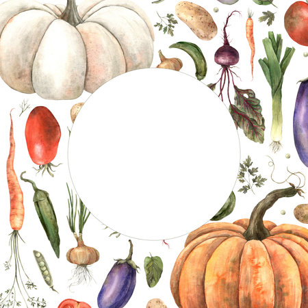 Watercolor composition of vegetables, pumpkin, eggplant, onions, beets, peppers, radishes, dill, carrots, peas, potatoes, parsley, spinach. Round background for text.の写真素材