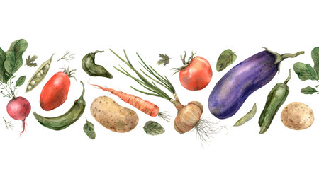 Hand drawn watercolor vegetables. Seamless border on a white background. Use in design, cards, brochures, packaging, fabric, menus, cookbooks.の写真素材