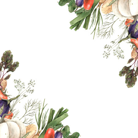 Frame, board, poster of different vegetables: pumpkin, radishes, beets, onions. Hand drawn in watercolors. Use in the design of cookbooks, menus, posters, postcards, advertising.の写真素材