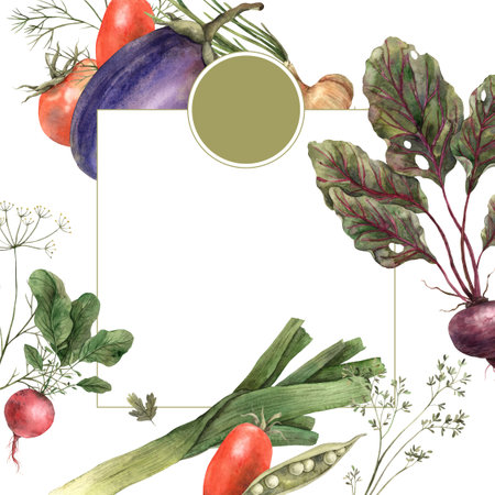 Watercolor square frame and circle of different vegetables: onion, eggplant, beet, tomato, dill. Hand drawn and isolated on a white background. Use in design, invitations, postersの写真素材