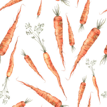 Seamless watercolor surface pattern of bright carrots with greens. Hand drawn botanical illustrations on isolated background. It can be used in print design, for cards, wallpaperの写真素材