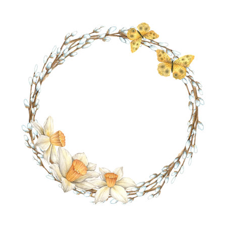 Watercolor wreath of spring branches with delicate daffodils. Easter holiday illustration hand drawn. Sketch on isolated background for greeting cards, invitations, banners, posters, textiles, graphic design.の写真素材