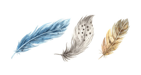 Set of watercolor realistic feathers. Detailed bird feathers in a realistic style. Illustration hand drawn on isolated background for greeting cards, invitations, happy holidays, posters.の写真素材