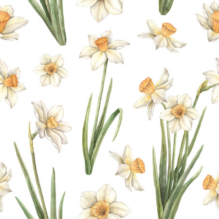 Watercolor pattern on a white background with yellow beautiful daffodils. Easter holiday illustration hand drawn. Sketch on isolated background for greeting cards, invitations, happy holidays, posters.の写真素材