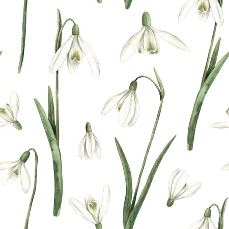 Watercolor pattern on a white background with snowdrops. Hand drawn illustration on isolated background for greeting cards, invitations, happy holidays, posters, fabric, wallpaper.の写真素材