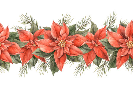 Poinsettia, Christmas red flower with green leaves and fir branches. Seamless watercolor botanical border on isolated background. Drawing for invitations, banners, cards, wrapping paper, decorの写真素材