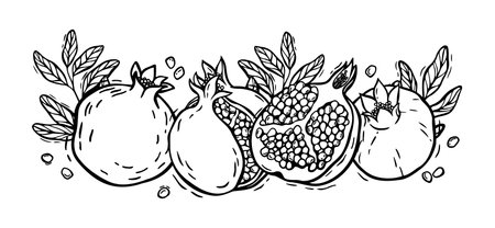Vector composition of pomegranate halves with seeds and leaves. Botanical black and white illustration, hand drawn in linocut style. Drawing for design of packaging, menus, recipes, postcardsのイラスト素材