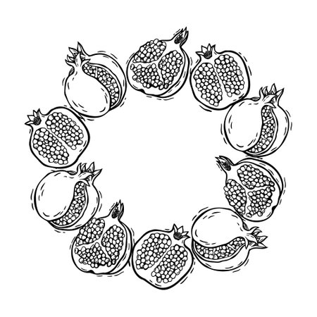 Wreath of detailed bursting pomegranates and pomegranate halves. Vector botanical illustration in graphic style, for invitations, greeting cards,  food and cosmetics packaging, home decorのイラスト素材
