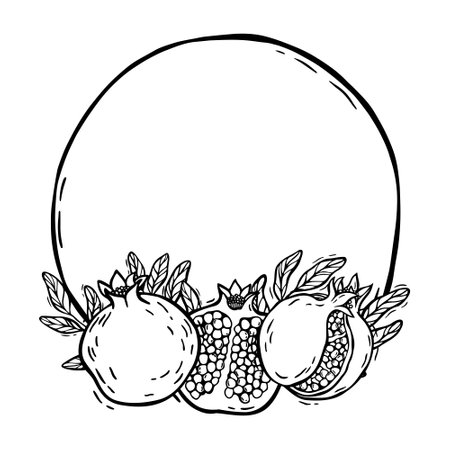 Round frame with fruits and pomegranate leaves, round outline with a pattern. Vector botanical black and white frame, hand drawn in graphic style. Drawing for food and cosmetics packaging design, menuのイラスト素材