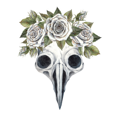 Composition of white roses with green leaves. Hand drawn watercolor illustration in botanical style. For design, decorations, cards, invitations for Halloween, wedding, Mother's Day, Valentine's Dayの写真素材