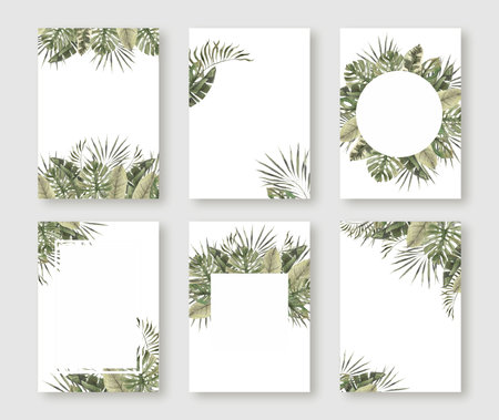 Monstera, calathea, colocasia, liana, philodendron. Watercolor tropical green banner set in monochrome style. Exotic design for cosmetics, invitations, summer banner, spa, holidays, travel, packagingの写真素材
