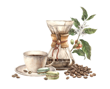 Ceramic cup with coffee filter, pistachio macaroons and roasted beans. Botanical branch of coffee with fruits and flowers. Watercolor composition for decorating shops, cafes, banners, postcardsの写真素材