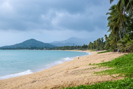 Untouched tropical beach in Koh Samui island, Thailandの写真素材