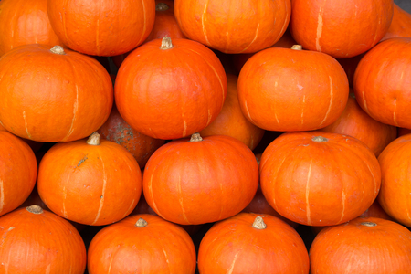Mini orange pumpkins in bulk at the farmers market in the fallの写真素材