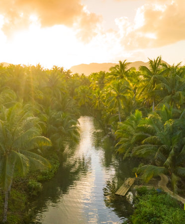 View over sunset over Amazon river with rainforest in Brazil.の写真素材