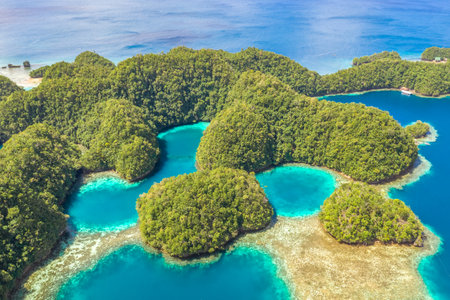 Mangroves forest cove a Sugba lagoon in Siargao, Philippines. Aerial shot taken with drone.の写真素材
