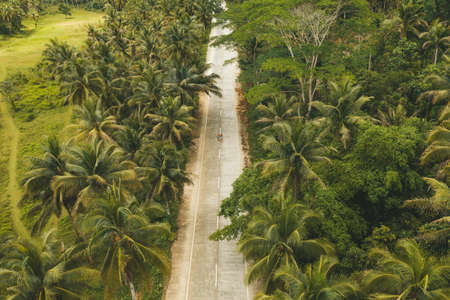 Aerial drone view a Couple on the road with palm trees in Siargao, Philippines.の写真素材