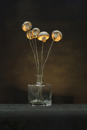 Still life "Bouquet of mushrooms" with mushrooms on wooden sticksの写真素材