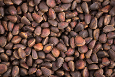 Background of pine nuts closeupの写真素材