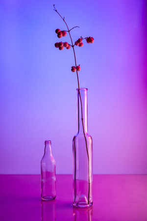 Still life with a branch snowberryの写真素材