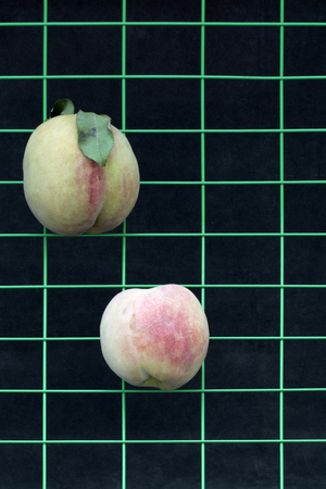 Two ripe peaches on a metal grid