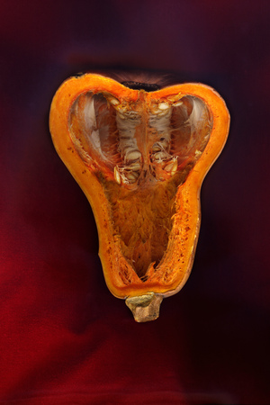 Pumpkin ordinary cut on a dark red backgroundの写真素材