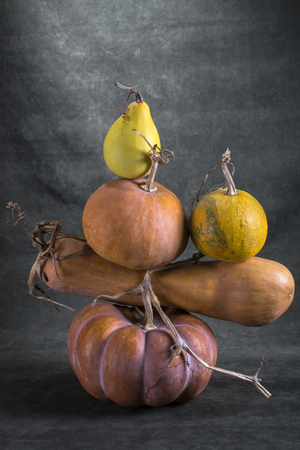 Still life with ripe pumpkins on a green backgroundの写真素材