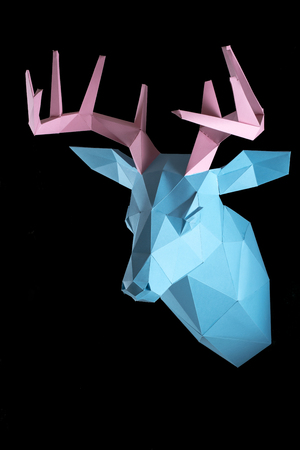 Papercraft, a piece of paper, a deer head with hornsの写真素材