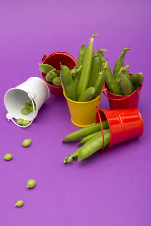 Still life with buckets and green peas on a purple backgroundの写真素材