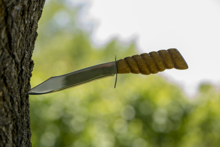 Big sharp knife sticks out in the treeの写真素材