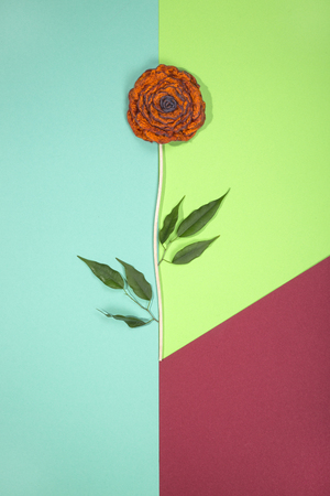 Brooch of fulled wool in the form of a flower on a color backgroundの写真素材