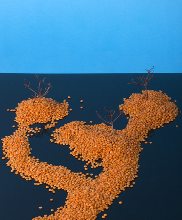 Landscape with islands in the sea. Installation of grains of lentils and twigs of the plantの写真素材