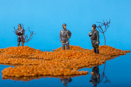 Landscape with islands in the sea and soldiers of the Second World War. Installation of grains of lentils, branches of plants and tin soldiers.の写真素材