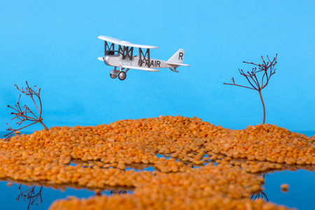 Landscape of an old plane. Installation of grains of lentils, branches of plantsの写真素材