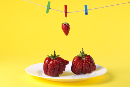 Ripe strawberries on white plate and clothespinsの写真素材