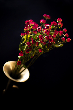 Trumpet solo. Still life with a bouquet of roses and a trumpet.の写真素材