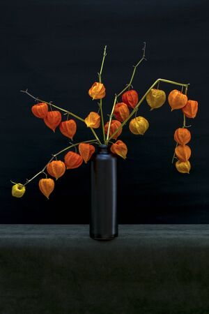 Still life with a branch of Physalis in a black bottleの写真素材